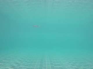 voyeurcam casa salsa pool 1